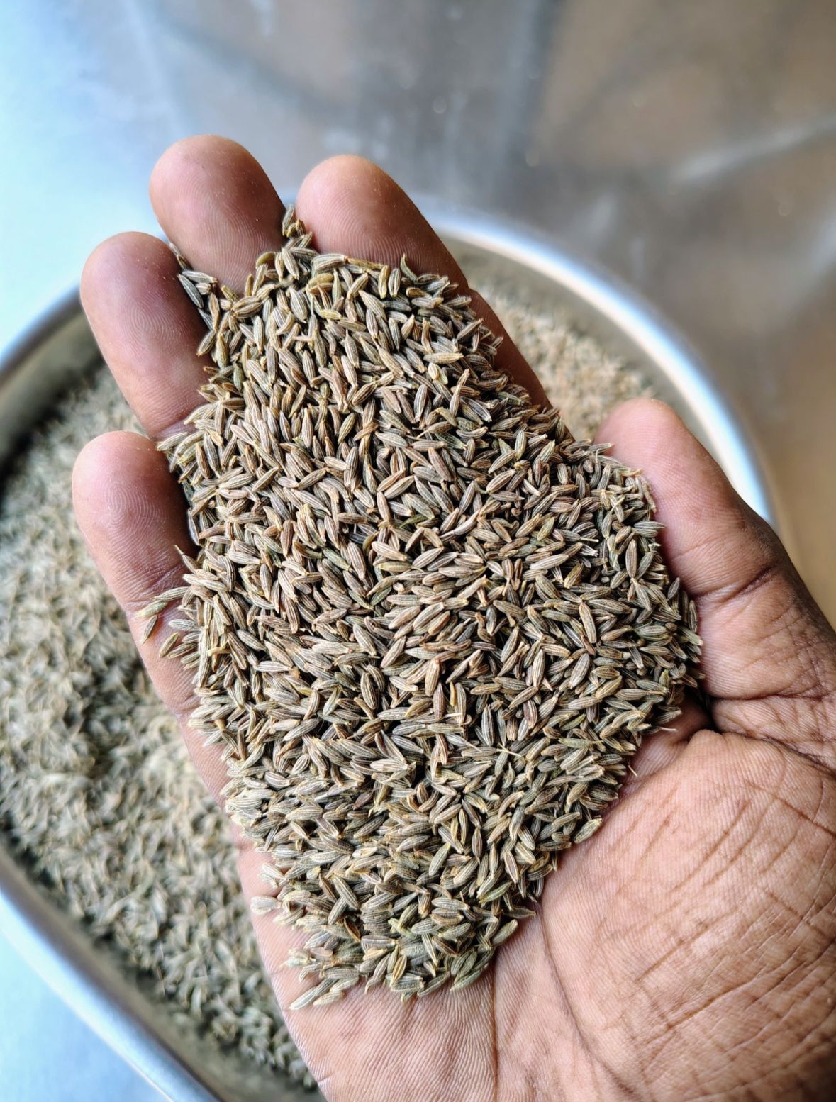 Cumin Seeds Singapore 99
