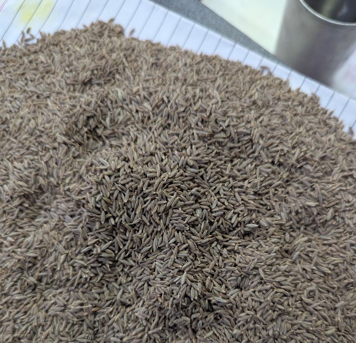 Cumin Seeds Europe Grade