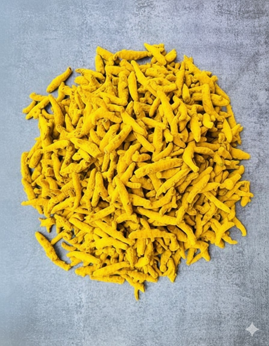 Turmeric Fingers Standard Erode
